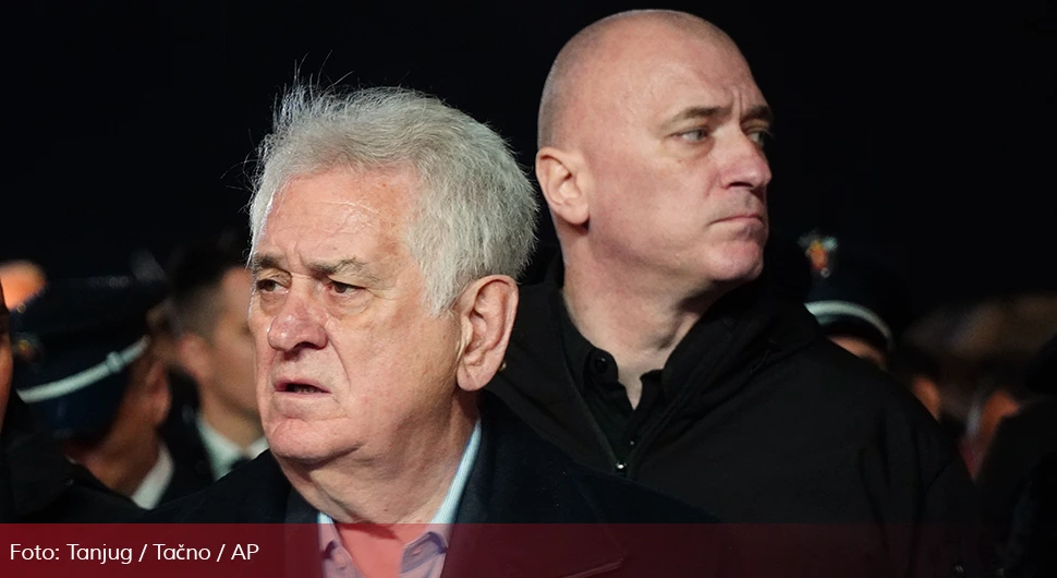 toma nikolic.webp